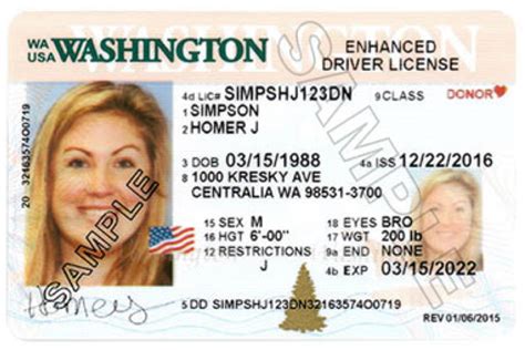 No annoying ads, no download limits, enjoy it and don't forget to bookmark and share the love! Washington State Drivers License Codes - yellowat