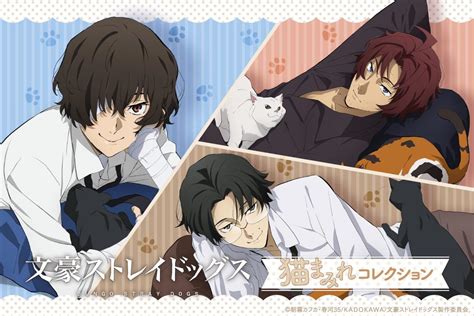 New Official Art From Bones Rbungoustraydogs