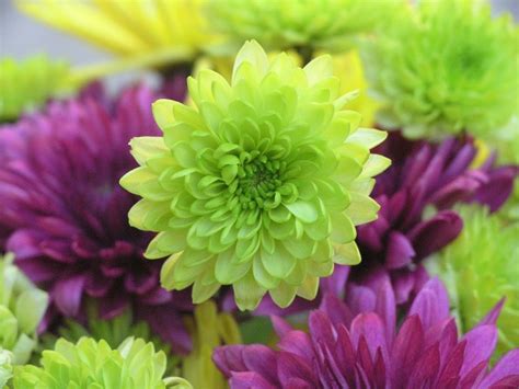 Dec 03, 2020 · you may have reached this page because the site or link you have tried to access no longer exists. What's up with a Yellow Rose? Flower Bouquet Color Meaning ...