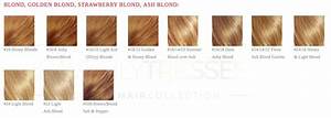 Lace Wig Human Hair Color Chart Colored Lace Wigs Heavenly Tresses