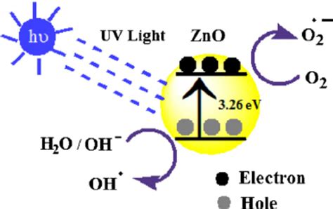 Schematic Representation Of The Photocatalytic Mechanism Of Zno