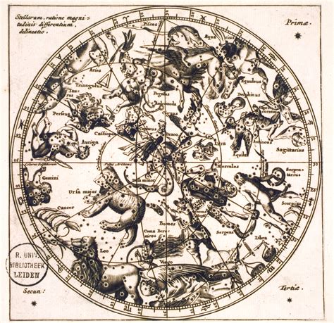 A Pair Of Puzzling Star Maps And Two Unknown Constellations