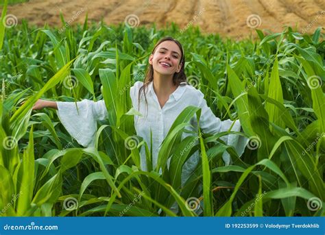 Young Happy Girl Showing Harvested Corn In The Field American Woman In A White Dress Harvests