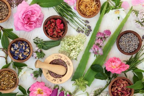 10 best herbs to boost skin health getsethappy
