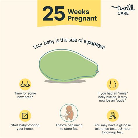 25 Weeks Pregnant Pregnancy Week By Week Twill Care