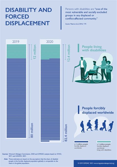 Disability And Human Mobility Migration Data Portal