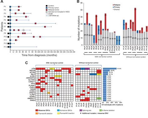 Figure 1 From Genetic Heterogeneity In Primary And Relapsed Mantle Cell