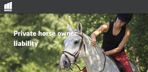 The Best Horse Insurance Options - Protect My Paws