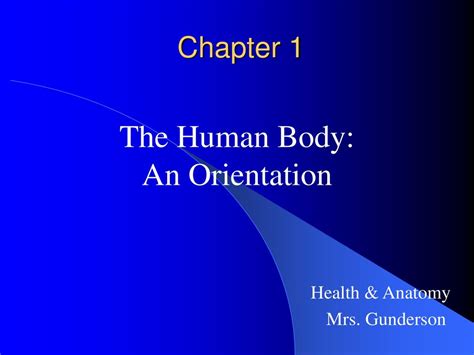 The Human Body An Orientation Ppt Download