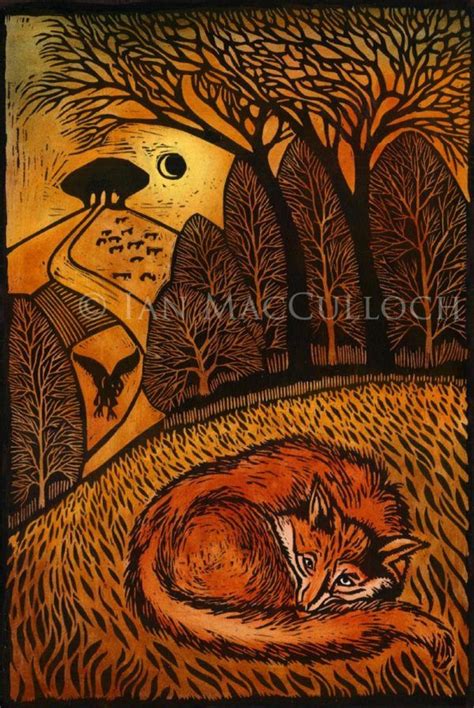 ian macculloch resting fox woodcut illustration art art inspiration