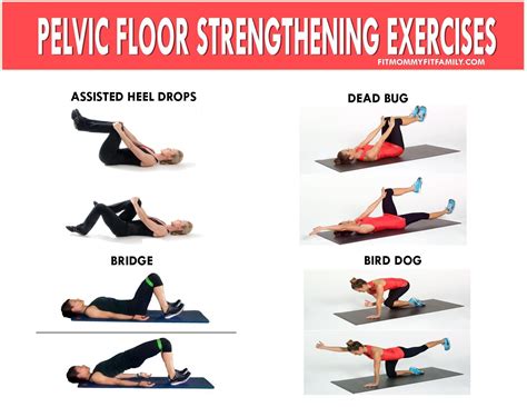 Why You Should Be Doing Pelvic Floor Exercises Pelvic Floor Dysfunction