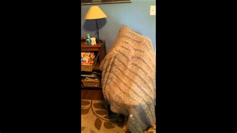 Hiding Under The Blanket Youtube