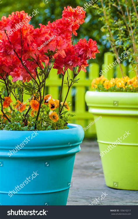 Colorful Blue And Green Flower Pots Filled With Flowers