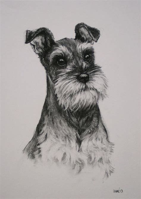 Miniature Schnauzer Terrier Dog Fine Art Limited Edition Print From An
