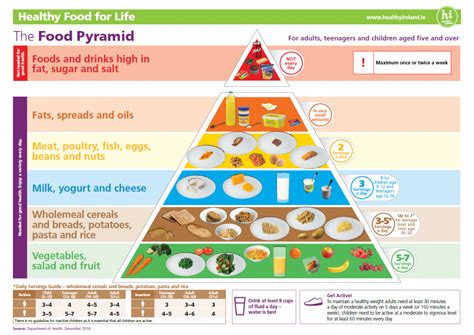 Like other countries around the world, the healthy eating food pyramid was introduced to australia in the early 1980s. New Healthy Eating Guidelines & Food Pyramid - Diabetes ...
