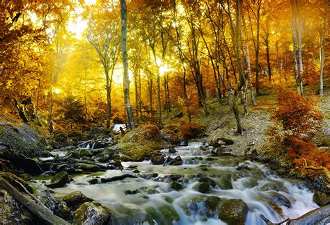 Photos Autumn Stream Nature Forests Trees Seasons