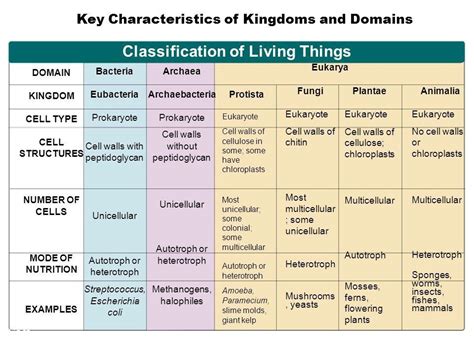 Classification Of Living Things Chart Science Teaching Resources