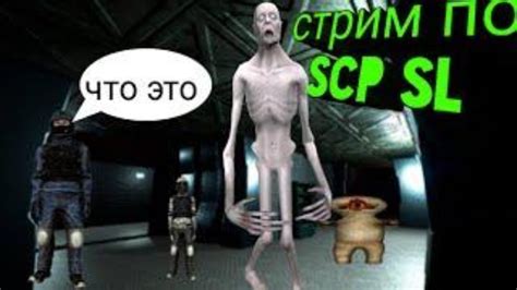 стрим играем в Scp Secret Laboratory Youtube