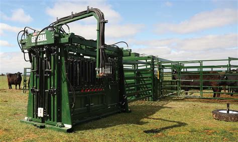 What Is The Best Hydraulic Cattle Squeeze Chute For Safety Efficiency