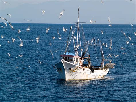 Royalty Free Fishing Boat Pictures Images And Stock Photos Istock