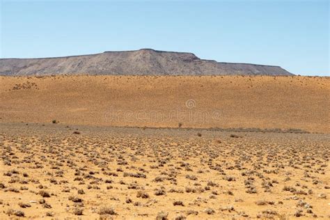 Afternoon Desert Landscape Stock Image Image Of Harsh 212699423