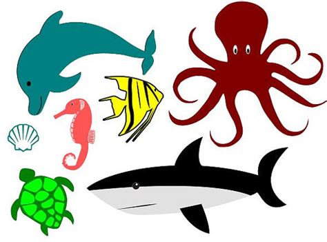 Download Download Angelfish svg for free - Designlooter 2020 👨‍🎨