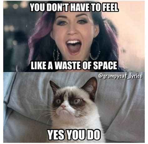 Grumpy Cat Sings Fireworks With Katy Perry Funny Love Jokes Funny Disney Memes Super Funny