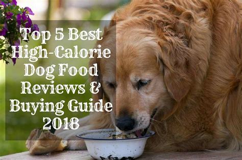 Free and fast shipping · 24/7 customer service · shipping 10/10 Most Sought-After High-Calorie Dog Food | Therapy Pet