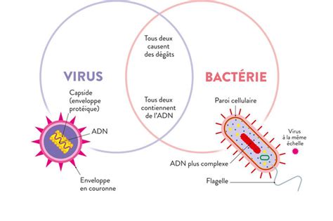 Virus Ou Bactérie Plus Magazine Sur Pc Plusmagazine