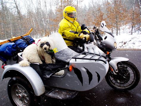 They are asymmetric with more to learn to ride an outfit you have to practice on one. Finally, a Documentary About Dogs Riding in Sidecars | WIRED
