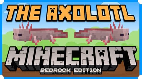 Facts About The Axolotl Minecraft Bedrock Edition Minecraft Bedrock