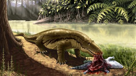 Titanophoneus Eats Its Prey Tryphosuchus 266 Million Years Ago