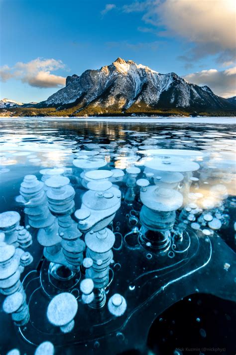 The Spectacle Of Frozen Methane Bubbles At Abraham Lake Alberta