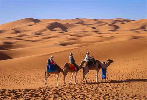 Morocco My Thrilling Sahara Desert Camp And Camel Ride On The Dunes