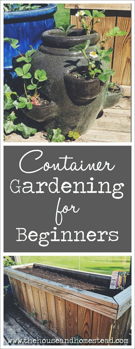 Container Gardening For Beginners The House And Homestead