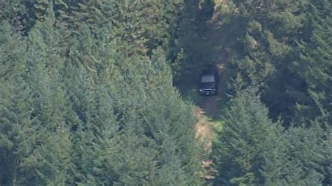 Missing Oregon Womans Body Found Along Remote Dirt Road Komo