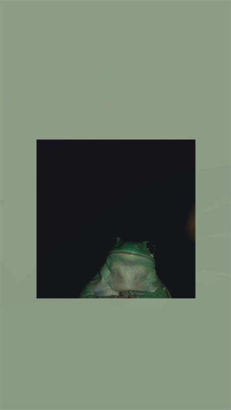 Aesthetic Frog Wallpapers Wallpaper Cave