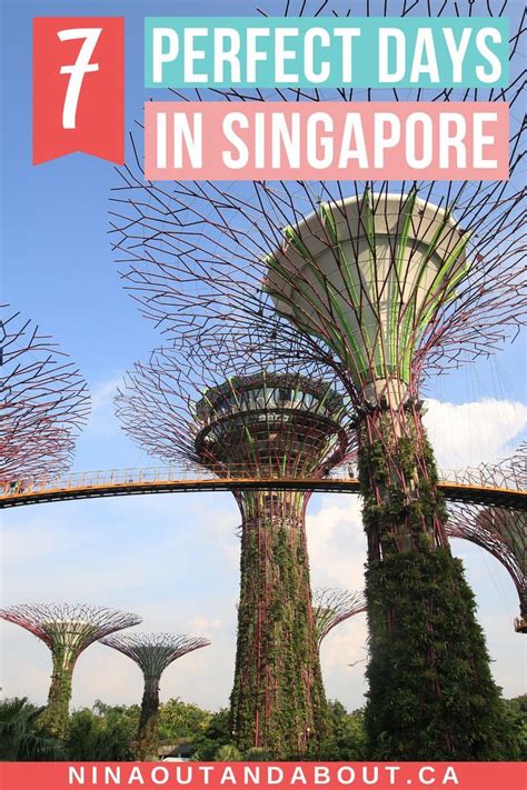 7 perfect days in singapore secret insider tips singapore travel singapore itinerary