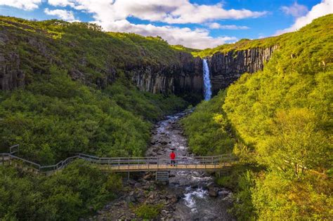 The Ultimate Guide To Svartifoss Waterfall In Iceland