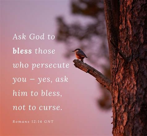 Ask God To Bless Those Who Persecute You — Yes Ask Him To Bless Not
