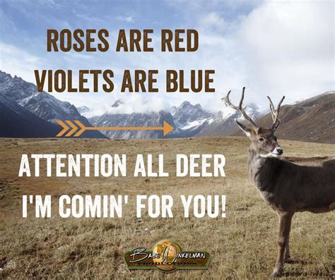 Funny Deer Hunting Sayings And Quotes Shortquotescc