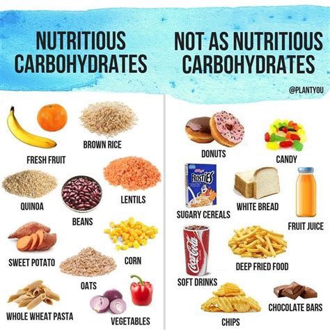 Carbohydrates Sources And Importance