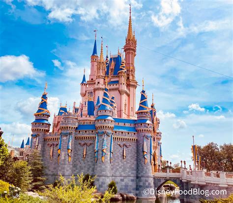 10 Weird Things That Are Banned In Disney World Laptrinhx News