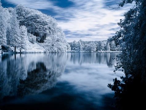 How To Do Infrared Photography With Basic Camera Gear Expertphotography