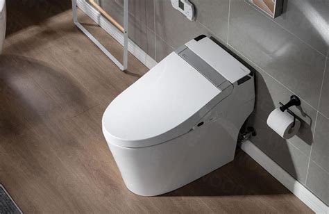 besten Dual Flush WC Optionen für das Badezimmer Vorschläge4home com