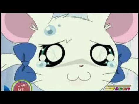 Image was taken from a simulated screen and is not representative of the final product. hamtaro green screen 22 - YouTube