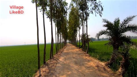 Beautiful Natural Of Bangladesh Village Road Hd Video Part 42 Youtube