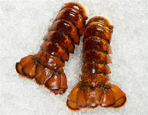 Canadian Lobster Tails 8 10 Oz 454kg Seafood Hookup