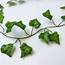 Artificial Leaf Vines  190cm Grape Or Ivy Vine Garland