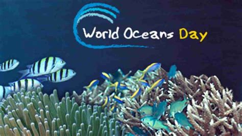 World Oceans Day 2021 Theme Date Significance And Importance Of Oceans